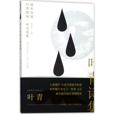 雨水直接打进眼睛 四川人民出版社 叶青 著 诗歌