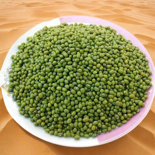 绿豆 吕梁农家自种2500g发芽豆五谷杂粮绿豆汤煮粥豆浆杂粮绿豆粥