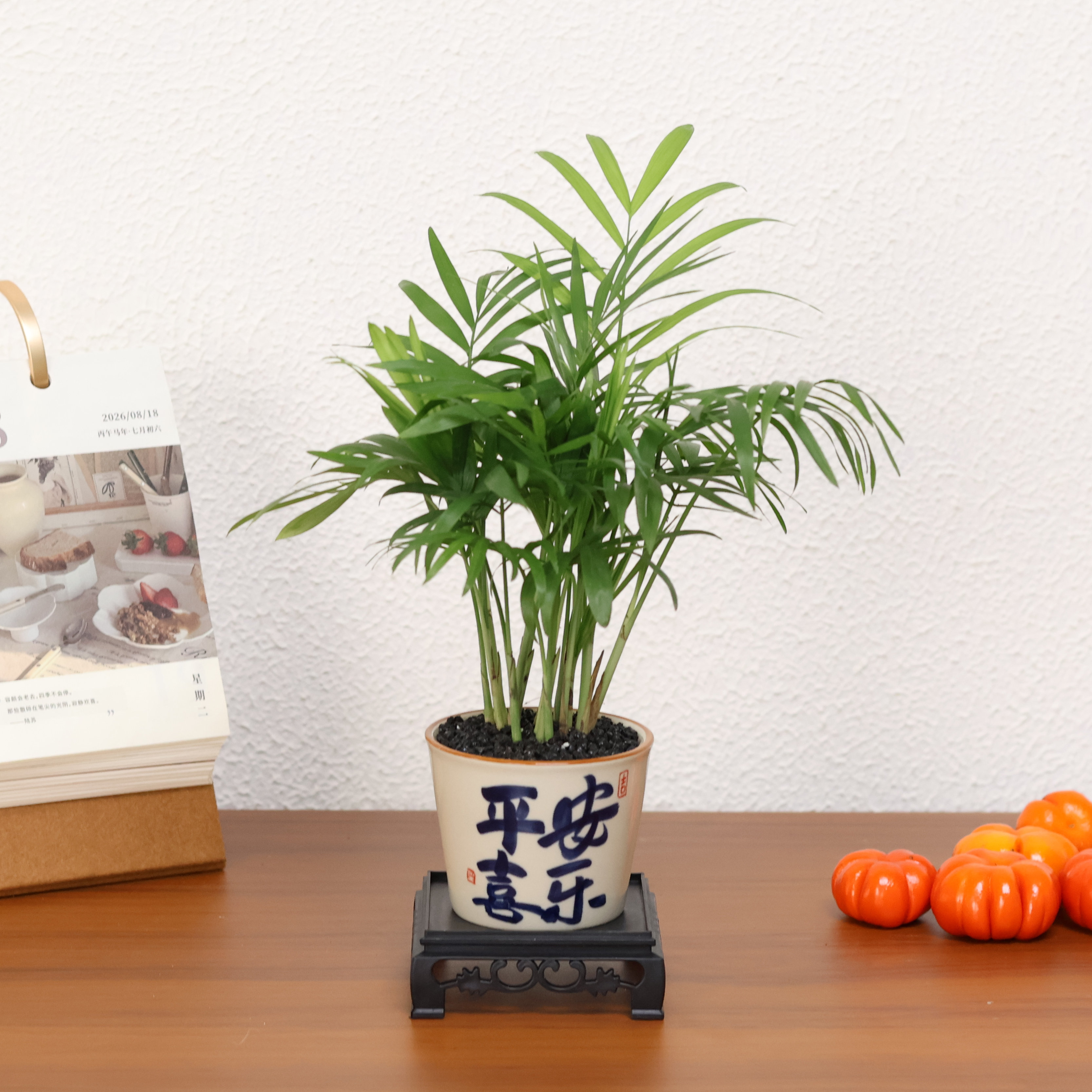 袖珍椰子小盆栽办公室内绿植花卉客厅桌面植物富贵盆景好养四季青