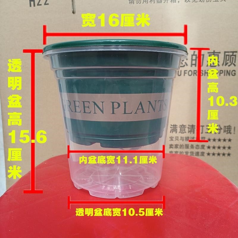 自动吸水花盆懒人盆塑料透明储水加仑盆圆形绿萝盆栽套装园艺特价