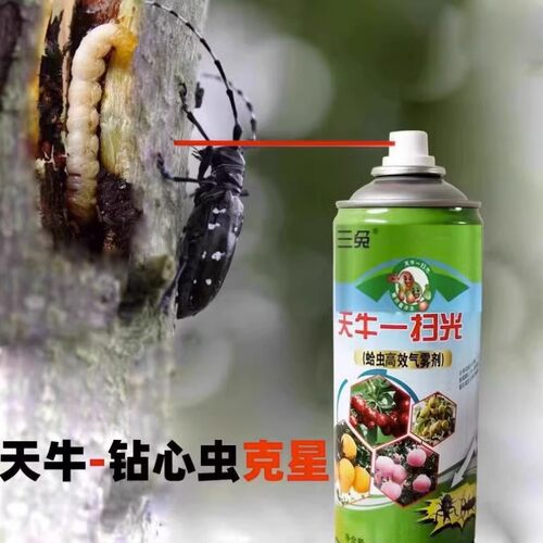 虫卵双杀天牛喷雾药钻心虫蛀木虫