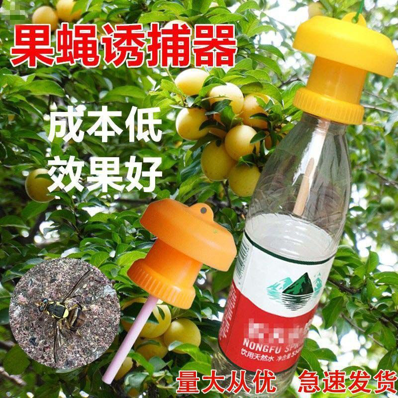 果蝇诱剂针蜂引诱药水瓜果实蝇诱捕剂针蜂引诱剂果实蝇诱捕器液体