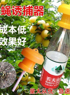 果实蝇诱剂针蜂引诱药水