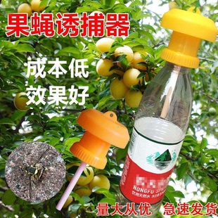 果蝇诱剂针蜂引诱药水瓜果实蝇诱捕剂针蜂引诱剂果实蝇诱捕器液体
