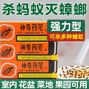 广州佳丽牌神奇药笔杀蟑螂灭蚂蚁虱子跳蚤臭虫家用厨房非无毒客厅
