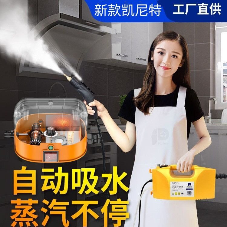 蒸汽清洁机高温除甲醛异味熏蒸汽车贴膜家电清洗消毒