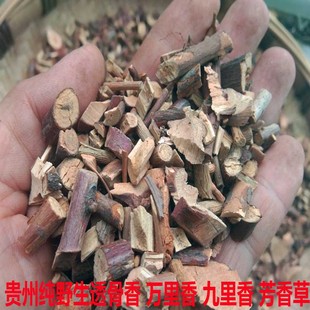 透骨香贵州野生中药材透骨草满山香搜山虎浓香切断500g包邮农家自