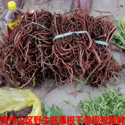 小血藤中药材茜草根野生红根草血见愁天然破血草红内消500克