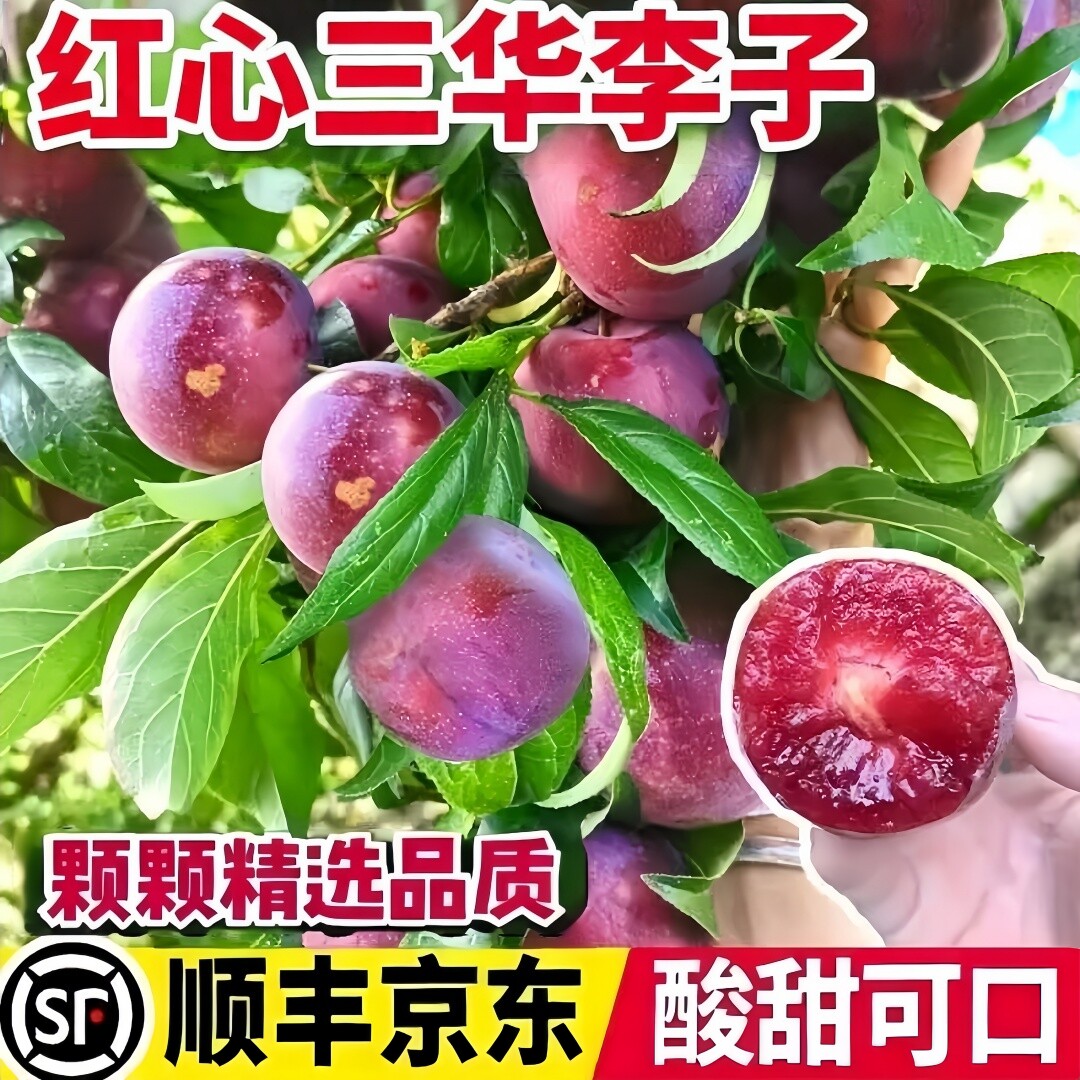 广东钱排三华李红心李子孕妇水果大当季新鲜整箱顺丰包邮酸甜脆爽