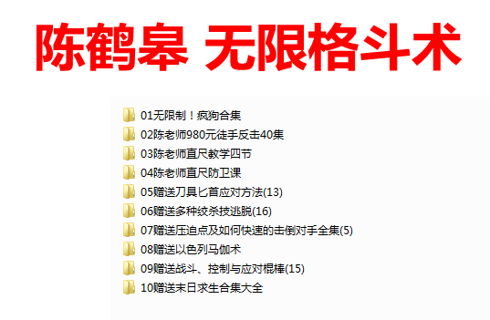 陈鹤皋无限格斗术徒手反击体系40集U盘视频+4节直尺课程武术课程