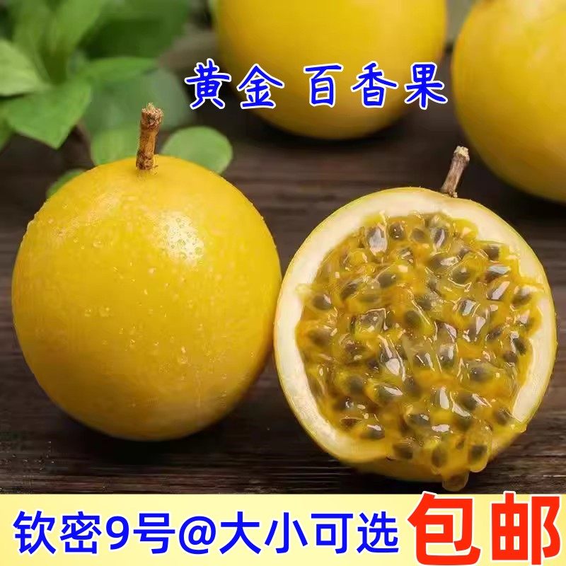 海南黄金百香果钦蜜9号新鲜现摘