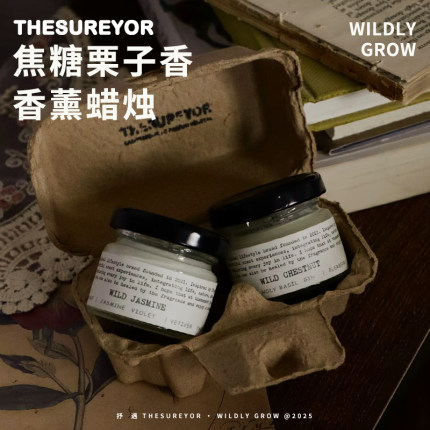 TheSureyor香薰蜡烛试香套装小罐天然大豆蜡植物精油小众伴手礼