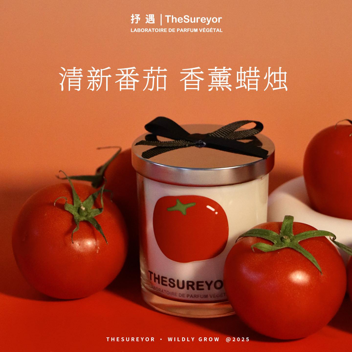 TheSureyor野番茄香薰蜡烛高级小众室内持久香氛清新生日礼物礼盒