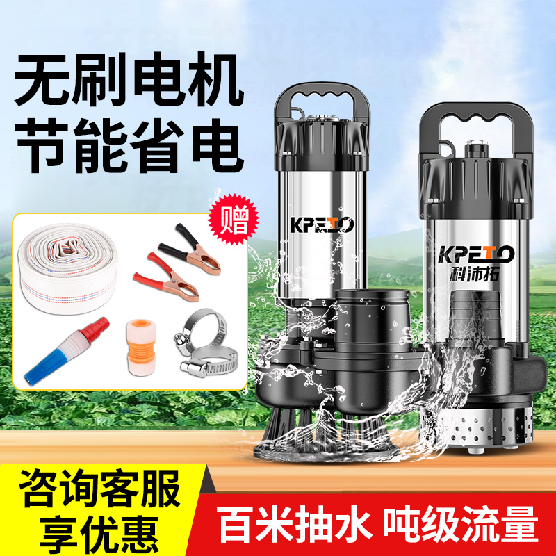 直流无刷潜水泵家用电动电瓶车12V24V48-72V高扬程农用灌溉抽水机
