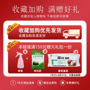 不锈钢八角形花盆托盘带万向轮盆景移动底座滚轮底盘重物托架花盘