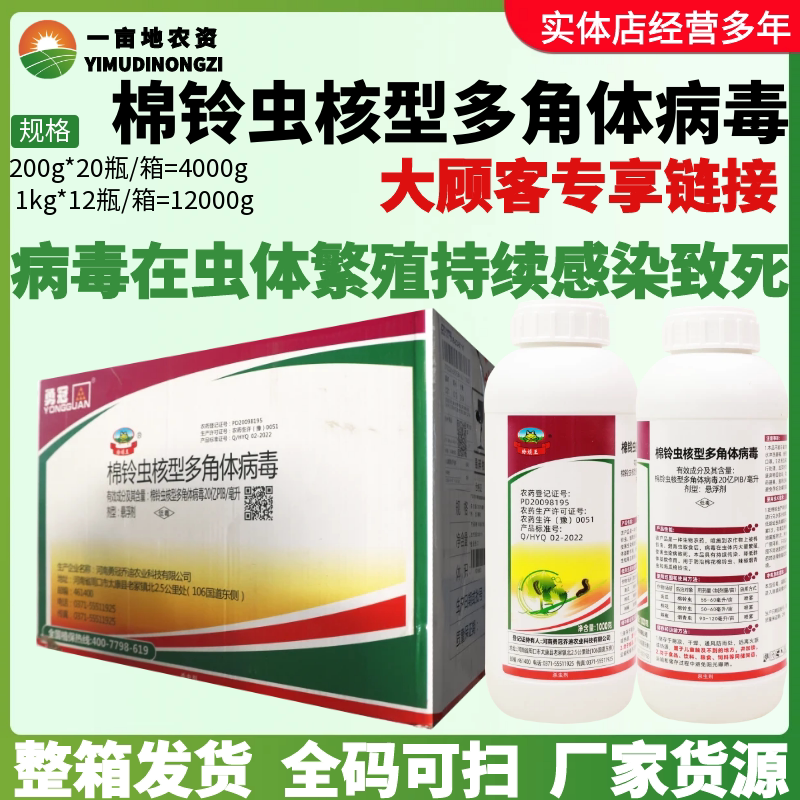 整箱勇冠蛤蟆王 棉铃虫核型多角体病毒 棉铃虫烟青虫农药杀虫剂