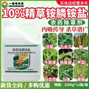 七洲惊天海 10%精草铵膦磷胺盐柑橘园杂草触杀灭生性农药除草剂