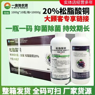 整箱 颖泰20%松脂酸铜 有机铜制剂果蔬葡萄霜霉病专用农药杀菌剂