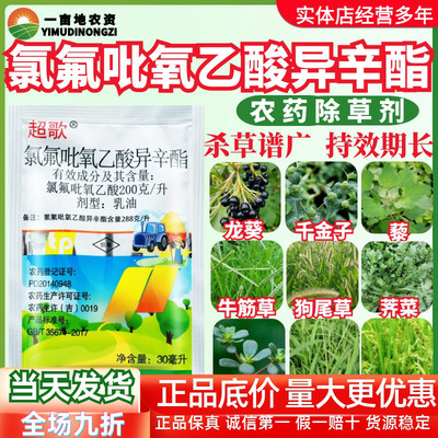 天保超歌氯氟吡氧乙酸异辛酯小麦田一年生阔叶杂草专用除草剂