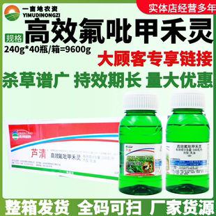 整箱胜邦绿野芦清高效氟吡甲禾灵 一年生禾本杂草 苗后农药除草剂