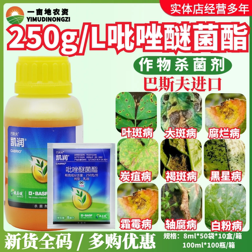 德国巴斯夫 凯润25%吡唑醚菌酯 霜霉病炭疽病白粉病农药杀菌剂