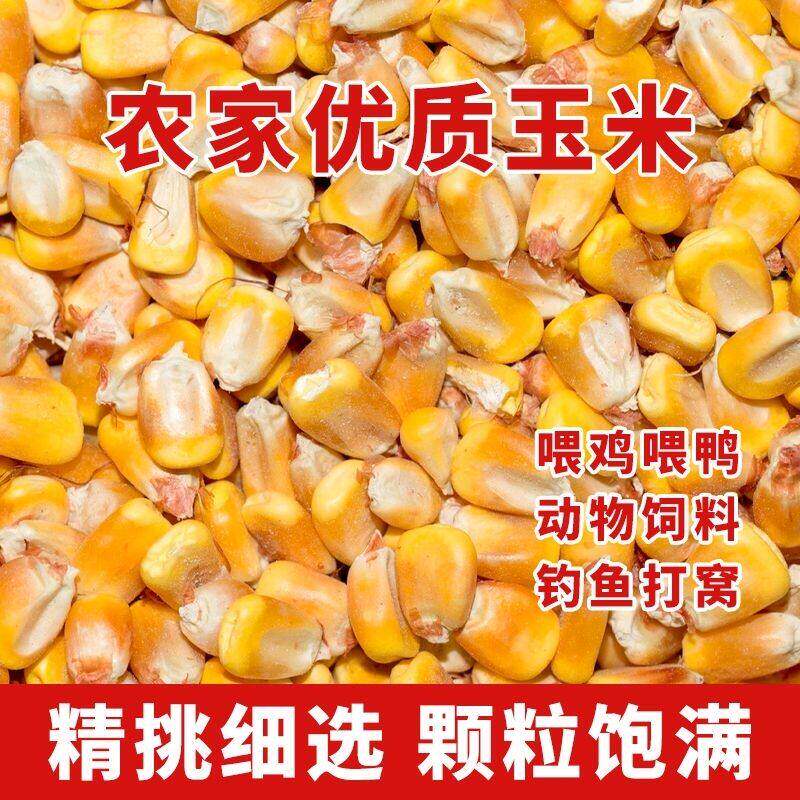 新干玉米农家当季风粒家