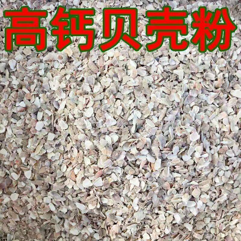 贝壳高钙饲料芦丁鸡专用