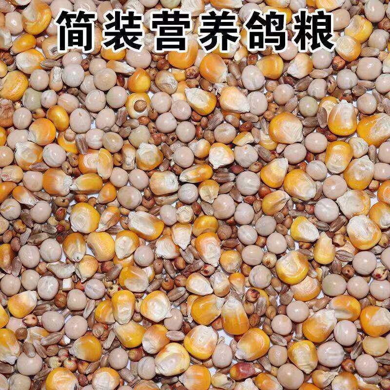 鸽子粮玉米小麦高粱食营