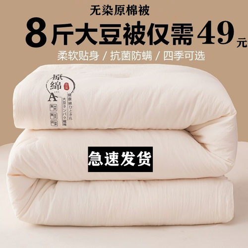 顺丰包邮大豆冬被春秋被芯