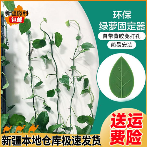 爬墙神器绿箩固定爬上固定夹