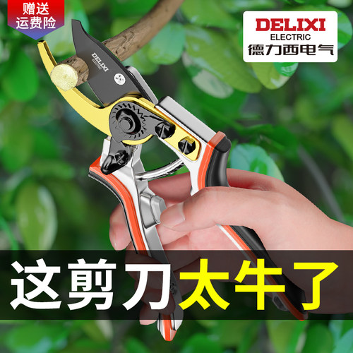 德力西修枝剪园艺剪刀园林专用剪