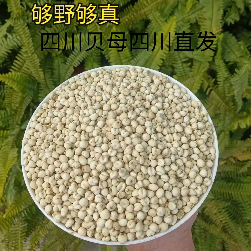 野生四川贝母川贝母中草药材怀中抱月精选干货无硫500g包邮多选品