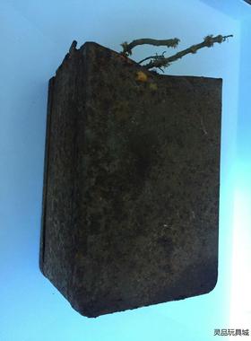 30528早期美国胆机拆下双组电感或是输入牛一支；百年左议价商品