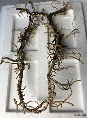 20618早期美国古典胆机里拆下的机内线一把；成色不错，D议价商品