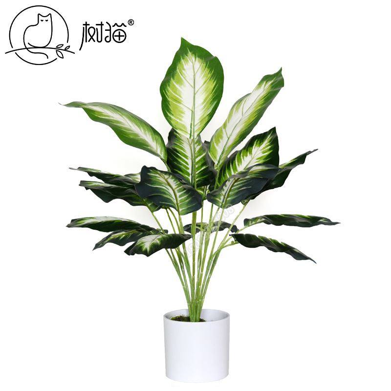 树猫仿真植物盆栽18叶白色万年青桌面假绿植装饰植物墙配件大叶子