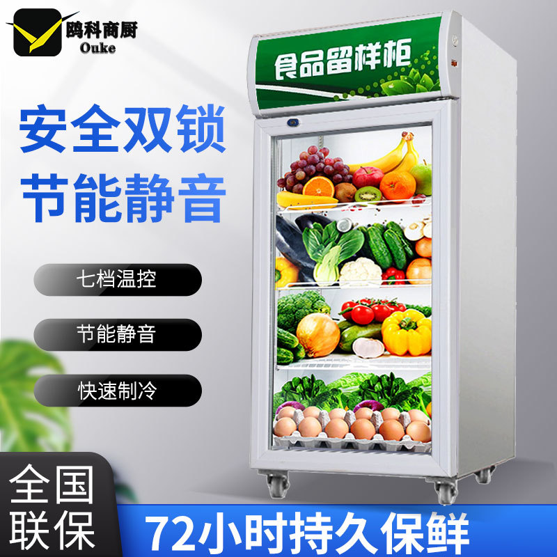 食品留样柜小型带双锁学校幼儿园酒店餐厅食堂商用水果保鲜冷藏柜