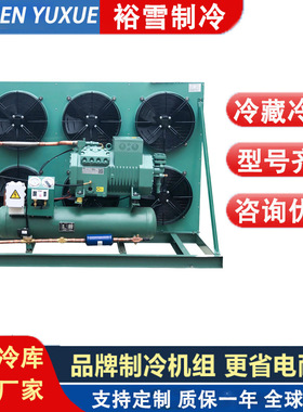 Condensing unit风冷冷凝机组低温压缩机冰库冷库冷藏设备