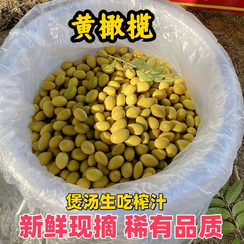 乡里阿蓉【煲汤黄橄榄】潮汕特产新鲜水果当季水果家庭煲汤佳品