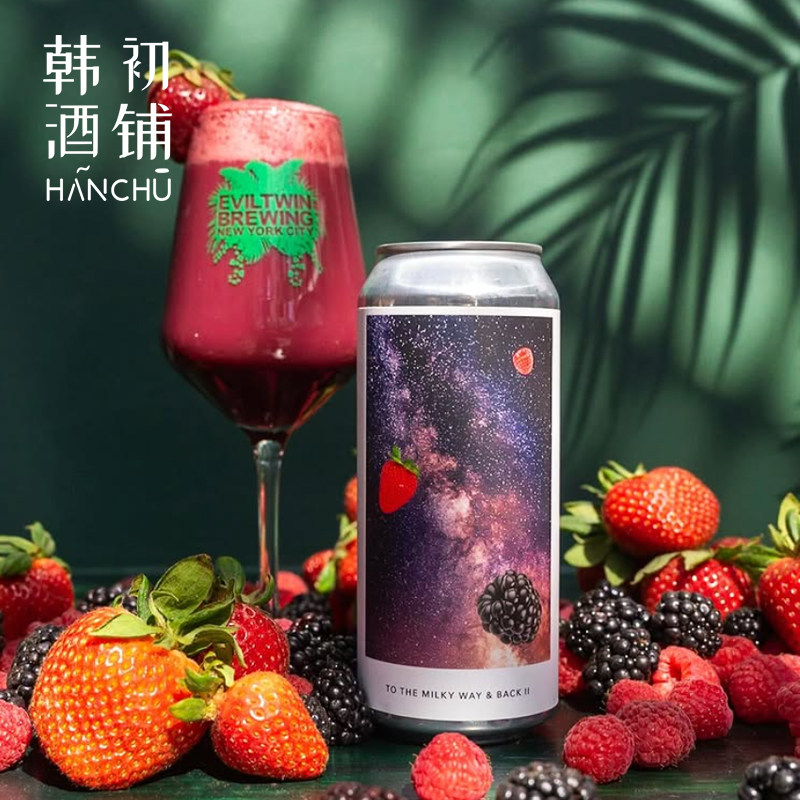 美国EvilTwin邪恶双子水果酸艾尔果泥酸啤精酿啤酒女生微醺473ml