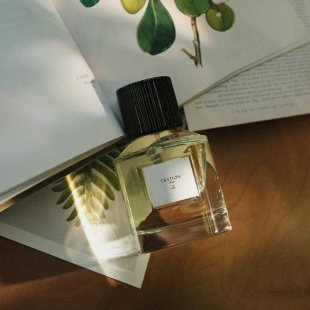 绿意双生trudon香水李泰容同款Aphelie绿野仙踪西柚天堂试香