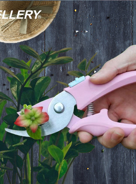 美国史拉力SELLERY 马卡龙园艺花艺修枝剪 盆栽插花月季树枝剪刀