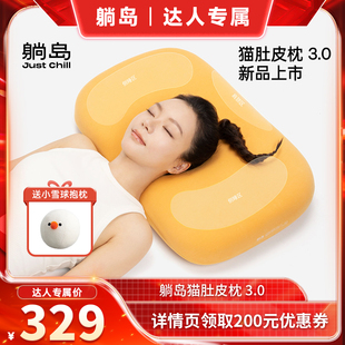 【达人专属】躺岛猫肚皮枕3新年礼盒装记忆棉枕头枕头枕芯TD