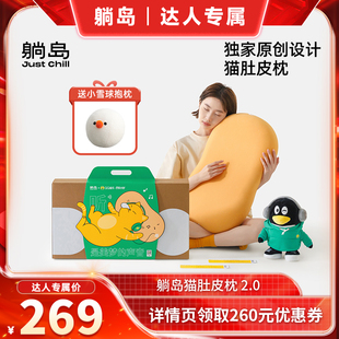【达人直播间】躺岛猫肚皮枕记忆棉成人枕单只装TD