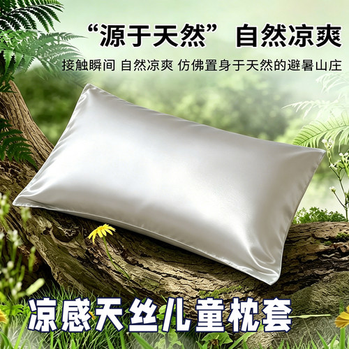 凉感天丝儿童枕套30x50夏季冰丝25x40x60宝宝35x55婴幼儿园枕头套
