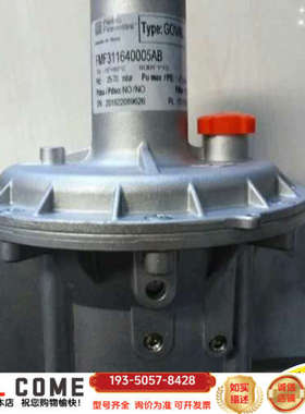 Pietro Fiorentini天然气调压阀详谈报价