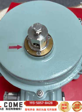 DAEYANG电动执行器，型号RT453，10.6KG，AC详谈报价