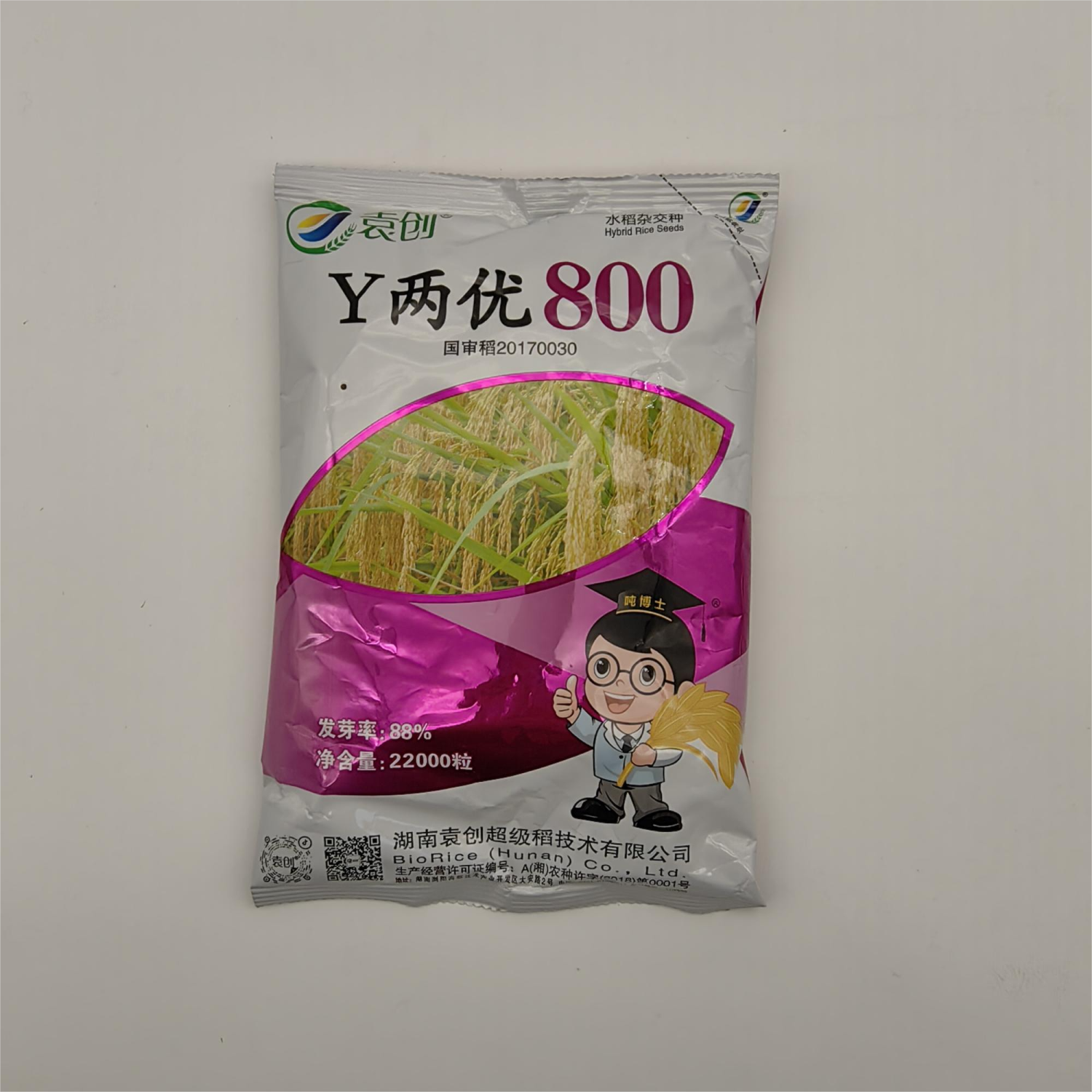 y两优800水稻田杂交稻一季稻种子正品高产种子