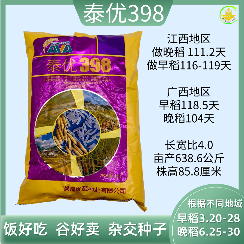 泰优398优质谷种水稻种子1公斤每包晚稻长粒谷杂交种子