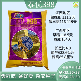 泰优398优质谷种水稻种子1公斤每包晚稻长粒谷杂交种子