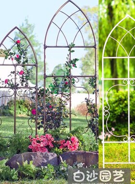 尖顶可拆式欧式屏风架铁线莲月季爬藤花架花幕架园艺用品 包邮